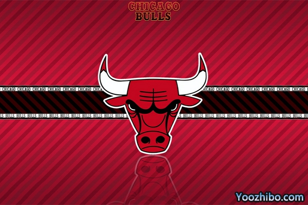 <a href=/lanqiuyd/bulls/ target=_blank class=infotextkey>公牛</a>队
