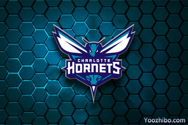 2019-2020赛季<a href=/lanqiuyd/hornets/ target=_blank class=infotextkey>黄蜂</a>队队徽